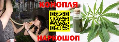 сатива Бийск